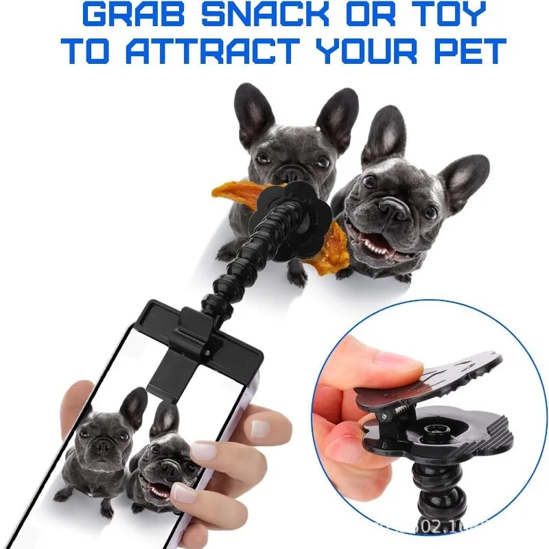 PetShots Pet Camera