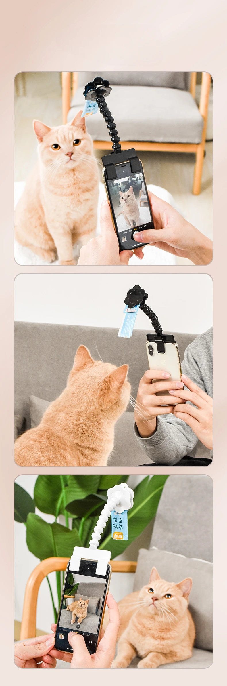 PetShots Pet Camera